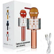 Wster Karaoke Microphone HIFI Speaker